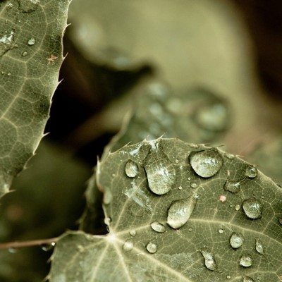 1920 x 1080 HD Wallpapers 1513